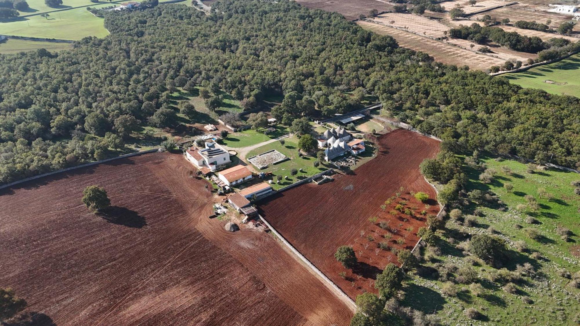 Materiis Villa Noci Buitenkant foto
